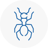 Ant Removals In Garden City
