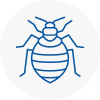 Bed Bug Extermination In Garden City