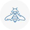 Bee Nest Removal Garden City