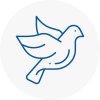 Bird Prevention Garden City