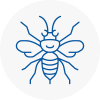 Garden City Hornet Nest Removals