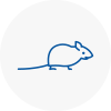 Mice Exterminators In Garden City