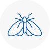 Moth Control Specialists In Garden City