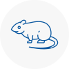 Rat Control Garden City