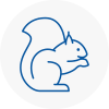 Garden City Rodent Removals
