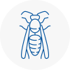 Garden City Wasp Nest Removal